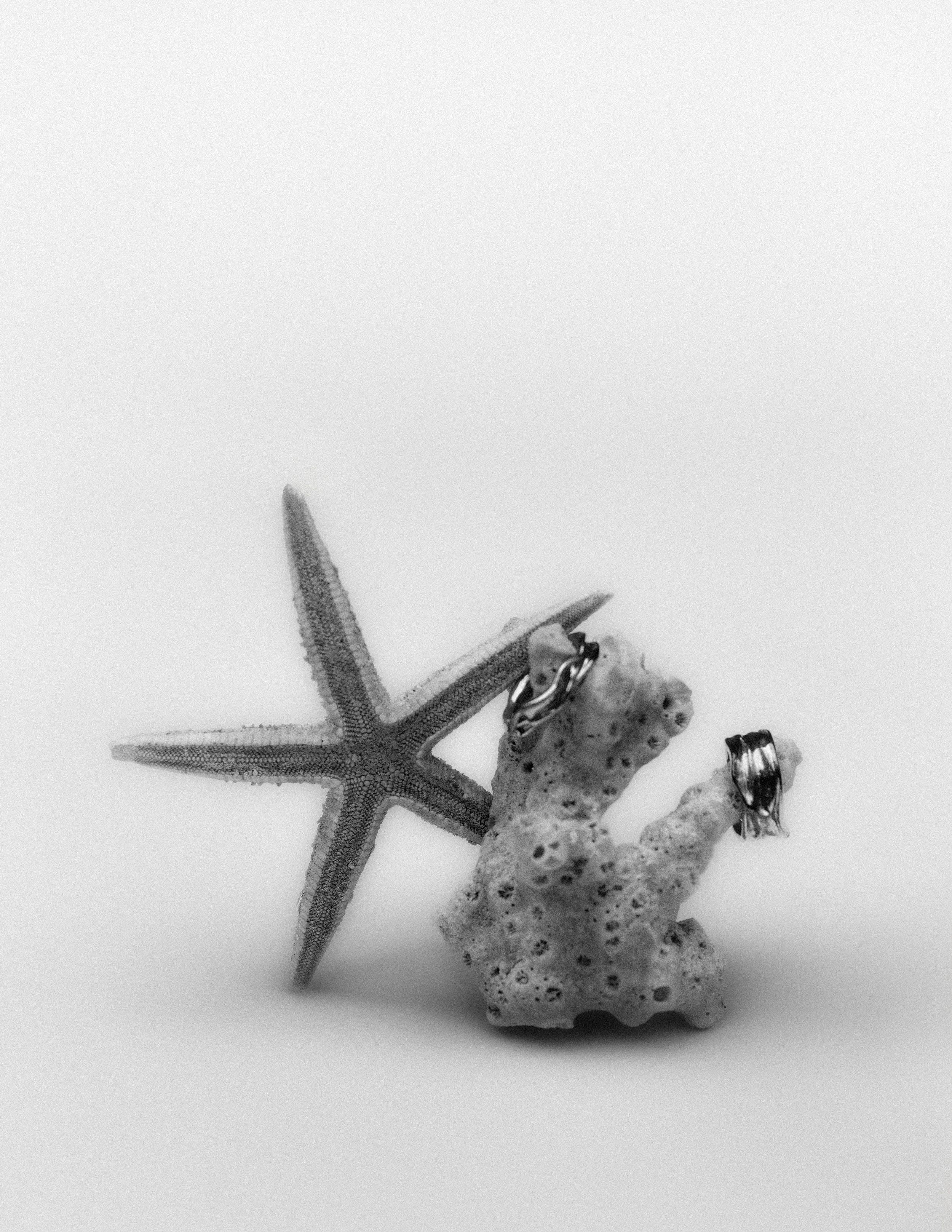 Black-and-white still life of silver rings on a starfish and coral, soft grey background